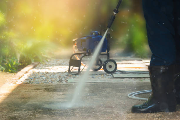 Animal Enclosure Cleaning in Mebane, NC